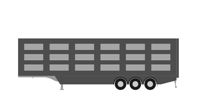 Animale vii