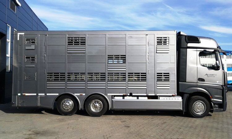 PLAVAC - Gama Heavy - 15