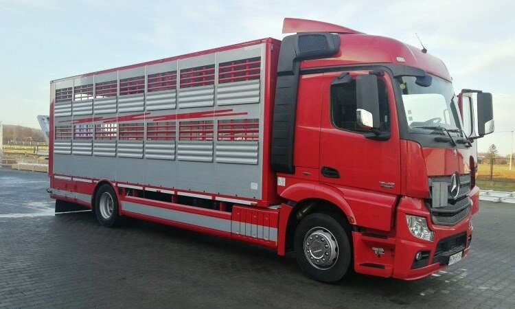 PLAVAC - Gama Medie - 7