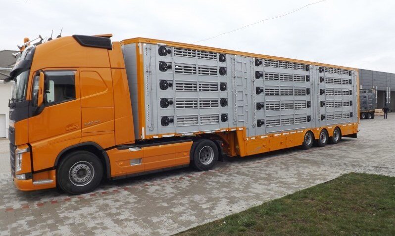 PLAVAC - Semiremorci Jumbo - 15